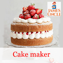 Cake maker Mrs. Piyali Sapui in Barrackpore